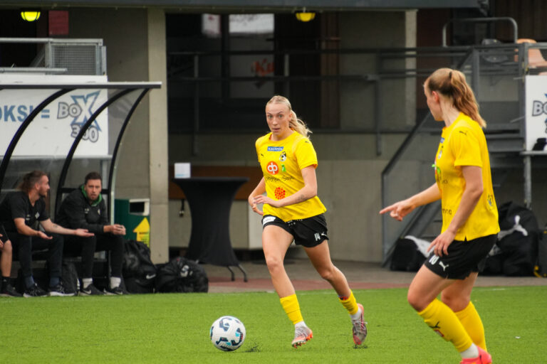 Niitty loistaa jo maaliskuussa